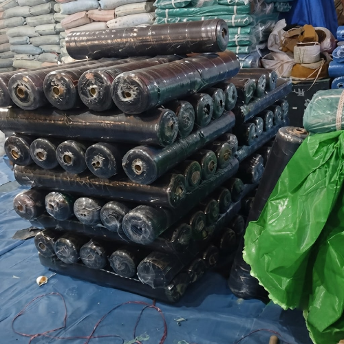 50 GSM LDPE Sheet